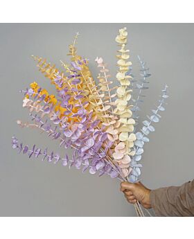 5 Branch Colourful Eucalyptus Fwr