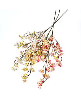 Cherry Blossom Bunch Fwr Cny