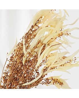 Preserved Eucalyptus Millet Pfl