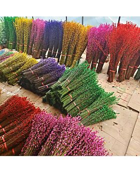 10pcs Pussy Willow Red Berry Fwr Cny