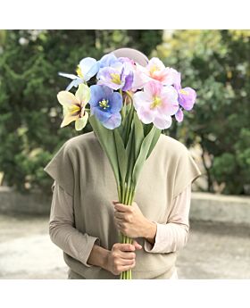 Open Tulip Flower Fwr