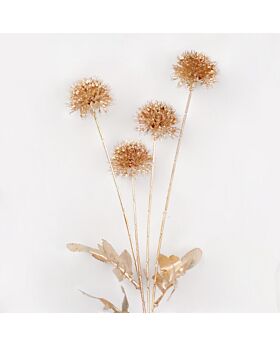Chrysanthemum Gold Ball Flower Glf