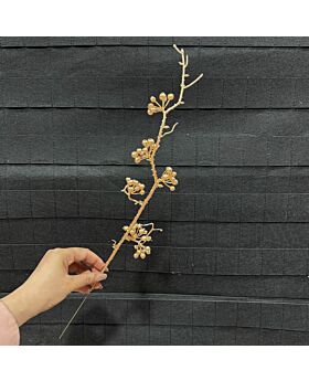 Mini Golden Beans Glf