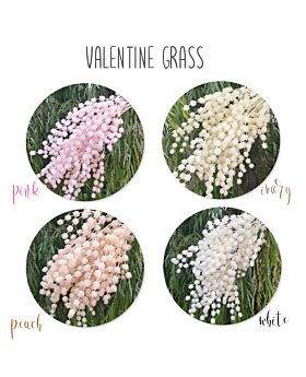Valentine Grass Lff (Satuan)