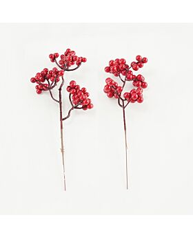 Berry fruit Xmas CNY