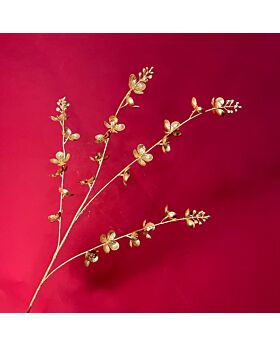 Wintersweet Flower Glf