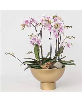 Anggrek Metal Vase Vsc