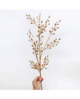 Gold Acacia Beans Glf
