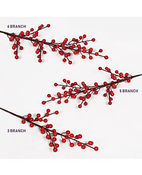 Red Acacia Bean Fwr