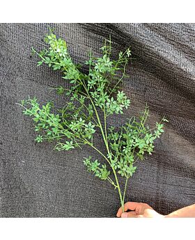 Rose Grass Bunch Fwr