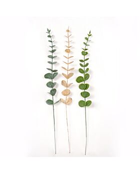 Single Eucalyptus Leaf Lff