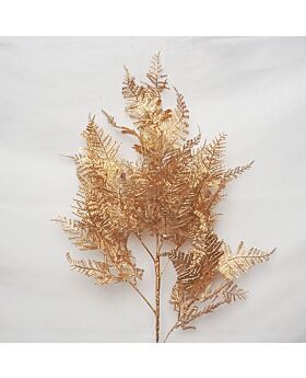 Gold Asparagus Leaf Glf