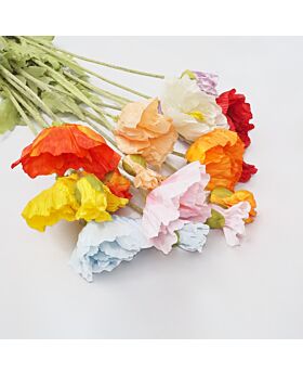 1 meter Giant Poppies flower Fwr