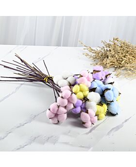 10pcs Bunga Kapas Cotton Flower Fwr