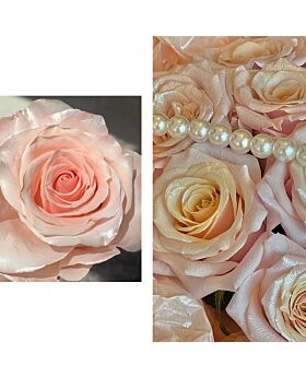 Cat semprot Pewarna Pilox bunga Matte Pfs-Pearl