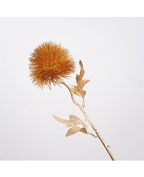 Chrysanthemum Gold Ball Flower Glf