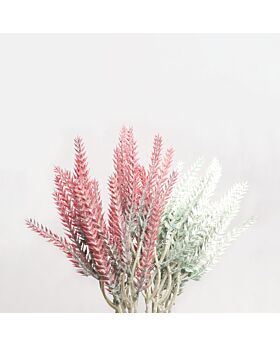 Lavender Bunch type 2