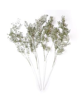 Daun Gantung Hijau Lff