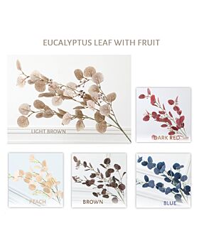 Eucalyptus Leaf Lff With Fruit