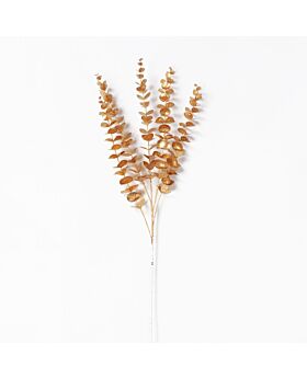 Eucalyptus Money Leaf Glf