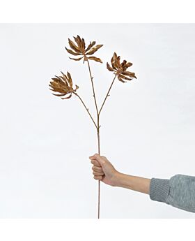 Gloriosa Lily Glf - Gold