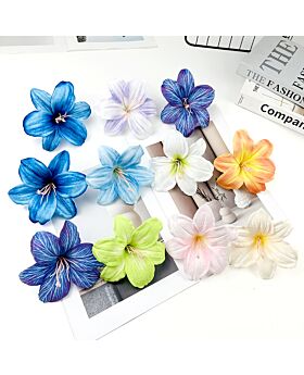 Kepala Bunga Tulip Fwr