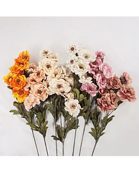 Lotus Peony Bunch Fwr