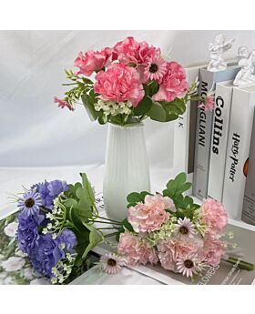 Daisy Carnation Flower Fwr