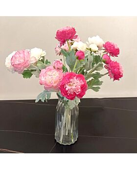 Peony macaron Flower Fwr- Type B