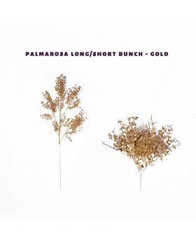 Palmarosa Bunch Glf - Gold