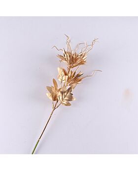 Night Blooming Cereus Glf - Gold