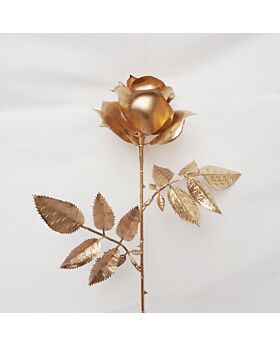 Gold Rose Fwr Glf